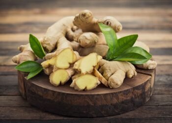 Health Tips: আদা (Ginger) খায় নে নাখায়? যদি খায় পাব আশ্চৰ্যকৰ লাভালাভ; যদি নাখায় তেন্তে আজিৰে পৰা খোৱা আৰম্ভ কৰক, তাৰ আগতে জানি লওক লাভালাভবোৰ কি কি?