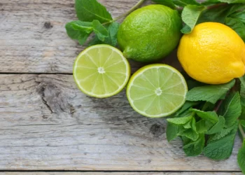Health Tips: নেমু (Lemon) সকলোৰে পাকঘৰত পোৱা এবিধ সাধাৰণ টেঙা ফল; কিন্তু এই সাধাৰণ ফলবিধৰো আছে অসাধাৰণ গুণ, যিবোৰ আপোনালোকে হয়তো নাজানে, যদি নাজানে তেন্তে জানি লওক লাভালাভবোৰ কি কি?