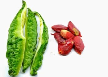 Health Tips: তিতাকেৰেলা (Bitter Gourd Seeds) খোৱাৰ পিছত গুটিবোৰ কি কৰে? যদি পেলাই দিয়ে তেন্তে বন্ধ কৰক; নহ’লে নাপাব এইবোৰ লাভালাভ, পিছে জানো আহক কি কি?