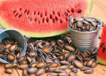 Health Tips: তৰমুজ খাই গুটিবোৰ (Watermelon Seeds) কি কৰে? যদি পেলাই দিয়ে তেন্তে আজিয়েই কৰক বন্ধ, কাৰণ এই ১১টা লাভালাভ পঢ়িলে কেতিয়াও পেলাই দিয়াৰ কথা নাভাবিব, আহক জানো কি কি?