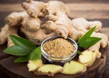 Health Tips: সাধাৰণ বুলি ভবা আদাৰো (Ginger) আছে আশ্চৰ্যকৰ লাভালাভ; বিশেষকৈ বিবাহিত পুৰুষসকলৰ বাবে, খাবলৈ আৰম্ভ কৰাৰ আগতে জানি লওক লাভালাভবোৰ কি কি?