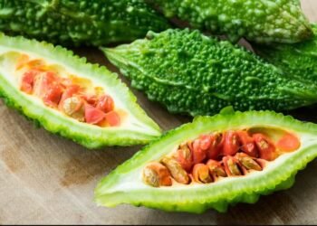Health Tips: ডায়েবেটিছ (Diabetes) ৰোগীৰ বাবে আশীৰ্বাদতকৈ কম নহয় তিতাকেৰেলাৰ গুটি (Bitter Gourd Seeds); লগতে আছে অন্য লাভালাভো, পিছে জানি লওক কেনেদৰে কৰিব ব্যৱহাৰ