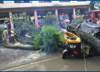 ৰুষ্ট প্ৰকৃতিৰ নিষ্ঠুৰ ৰূপ! মুষলধাৰ বৰষুণৰ ফলত চলন্ত অটোৰ ওপৰতে উভালি পৰে প্ৰকাণ্ড গছ; থিতাতে কৰুণ মৃত্যুক সাৱটিলে অটো চালকজনে