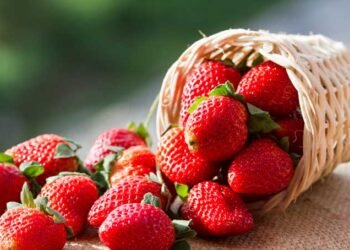 Health Tips: হাৰ্টৰ আকাৰৰ ষ্ট্ৰবেৰী (Strawberry) খাই সকলোৱে হয়তো ভাল পায়; পিছে জানেনে ইয়াৰ এনেকুৱা গুণাগুণ আছে, যিবিলাক পঢ়ি আপুনিও হ’ব আচৰিত, তাৰ বাবে জানি লওক ইয়াৰ লাভালাভবোৰ কি কি?