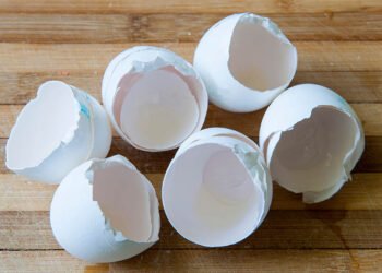 Health Tips: কণী (Egg) স্বাস্থ্যৰ বাবে উপকাৰী বুলি সকলোৱে জানে; কিন্তু  কণীৰ বাকলিৰো (Eggshell) আছে বহু গুণাগুণ, পেলাই দিয়াৰ আগতে জানি লওক  কণীৰ বাকলিৰ লাভালাভবোৰ কি কি?