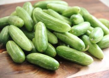 Health Tips: বহুতেই হয়তো কুন্দুলী (Ivy Gourd) খাই বেয়া পায়; কিন্তু এই পাচলিবিধৰ আছে বহু আশ্চৰ্যকৰ লাভালাভ, খাবলৈ আৰম্ভ কৰি দিয়াৰ আগতে জানি লওক লাভালাভবোৰ কি কি?