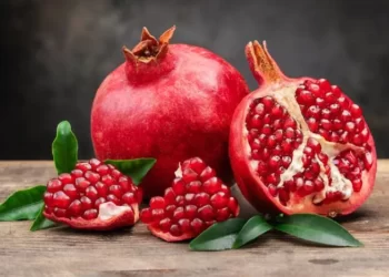 Health Tips: ডালিম (Pomegranate) খায় নে? ডালিম দেখিবলৈ যিমান ভাল; তাতোকৈ বেছি ইয়াৰ গুণাগুণ ভাল, যিমান পাৰে খাবলৈ আৰম্ভ কৰক, পিছে আহক জানি লওক লাভালাভবোৰ কি কি?