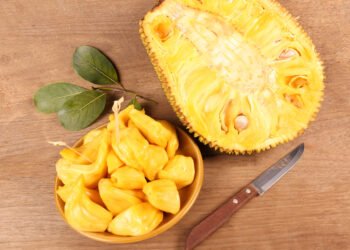 Health Tips: কঠাল (Jackfruit) খাই ভাল পায় নে নাপায়? যদি পায় তেন্তে আপোনাৰে আছে লাভ; যদি নাপায় তেন্তে আপোনাৰে হ’ব লোকচান, পিছে জানি লওক ইয়াৰ লাভালাভবোৰ কি কি?