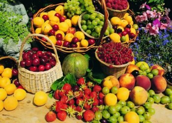 Health Tips: ফল খাওতেই গুটি (Fruits Seeds) গিলা যোৱাটো সাধাৰণ কথা; কিন্তু আপুনি জানেনে কিছুমান ফলৰ গুটি আপোনাৰ স্বাস্থ্যৰ বাবে যথেষ্ট অপকাৰী, এই ৫ বিধ ফলৰ গুটি ভুলতেও নাখাব, আহক জানি লওক কি কি?