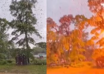 এইকাৰণে ধুমুহাৰ সময়ত গছৰ তলত থিয় হ’ব নালাগে; ৬ ছেকেণ্ডৰ এই ভিডিঅ’টোৱে আপোনাৰো হৃদয় কঁপাই তুলিব, Watch Viral Video