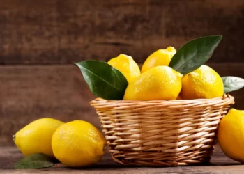 Health Tips: সকলোৰে পাকঘৰত পোৱা নেমু (Lemon) এবিধ সাধাৰণ ফল; কিন্তু এই সাধাৰণ ফলবিধৰো আছে অসাধাৰণ গুণাগুণ, আহক জানি লওক গুণাগুণবোৰ কি কি?