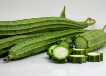 Health Tips: জিকা (Ridge Gourd) খাই হয়তো বহুতেই ভাল পাই বা নাপাই; কিন্তু এই সাধাৰণ পাচলিবিধৰ লাভালাভবোৰ পঢ়িলে, ভাল নোপোৱাসকলেও ভাল পাবলৈ আৰম্ভ কৰিব, তাৰ আগতে জানি লওক গুণাগুণবোৰ কি কি?