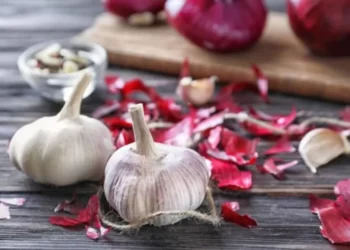 Health Tips: পিঁয়াজ (Onion) আৰু নহৰু (Garlic)ৰ বাকলি পেলাই দিয়াৰ ভুল কেতিয়াও নকৰিব; নহ’লে নাপাব এই লাভালাভ, জানি লও আহক লাভালাভবোৰ কি কি?