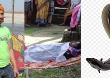 ধেমালিয়ে হৈ পৰিল কাল! জীৱন্ত কুঁচিয়া মাছে প্ৰাণ কাঢ়িলে এজন যুৱকৰ; মাছটোৰ সৈতে খেলা কৰি থাকোতে পেটৰ ভিতৰলৈ সোমাই যায়, ঘটনাটোৰ পিছতে হাহাকাৰ অঞ্চলটোত