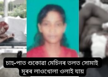 ভয়ংকৰ! ঝাড়ু মাৰি থাকোতে চাহ-পাত শুকোৱা CTC মেচিনৰ তলত সোমাই মূৰৰ লাওখোলা ওলাই যায় মইনা নায়ক নামৰ এগৰাকী যুৱতীৰ; এতিয়া জীৱন-মৃত্যুৰে যুজিছে মইনাই, সৰৱ ছচিয়েল মিডিয়া ব্যৱহাৰকাৰী