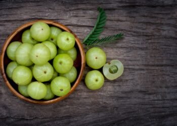 Health Tips: আহক আজি জানো আমলখি (Gooseberry)ৰ উপকাৰিতাৰ বিষয়ে; পিছে ইয়াৰ উপকাৰিতাৰ লগতে আছে অপকাৰিতাও, জানি লও আহক কি কি?