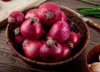 Health Tips: পাকঘৰত পোৱা এবিধ সাধাৰণ পাচলি ‘পিঁয়াজ’ (Onion); কিন্তু জানেনে এই পাচলি বিধৰ আছে বহু আশ্চৰ্যকৰ লাভালাভ, পঢ়িলে আপুনিও হৈ উঠিব আচৰিত, পিছে জানো আহক কি কি?