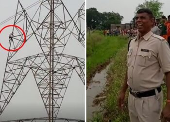 আজৱ ঘটনা! খঙত পত্নীয়ে স্বামীৰ ঘৰ এৰি গুচি গ’ল মাকৰ ঘৰলৈ; তাৰ পিছত পত্নীৰ অভিমান ভাঙিবলৈ স্বামী উঠিল ৭৫ ফুট উচ্চতাৰ বিদ্যুতৰ টাৱাৰত, তাৰ পিছত, Watch Viral Video