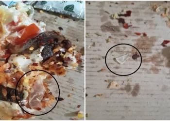 পিজ্জা খাওঁতে সাৱধান! এজন লোকে Domino’sৰ Pizzaত পালে কাঁচৰ টুকুৰা! ফটো ভাইৰেল হোৱাৰ পিছত কোম্পানীয়ে দিলে এই বিবৃতি…Viral Photo