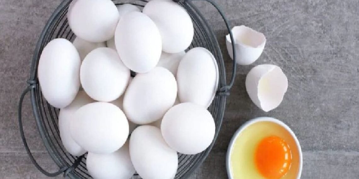 জানি থওক! বজাৰত ওলাইছে ‘নকল কণী’ (Egg)! গতিকে জানি লওক আচল কণী আৰু নকল কণী কোনটো কেনেকৈ গম পাব, আহক জানো…