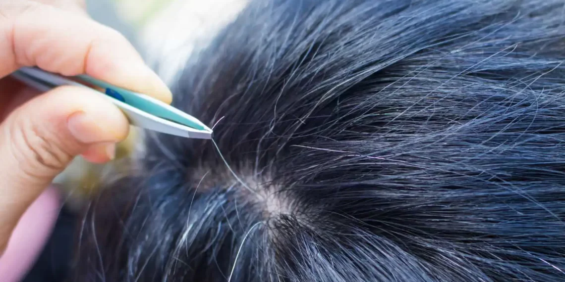 Lifestyle Tips: পকা চুলি (White Hair) উভালি পেলালে আৰু বেছি পকে; এই কথা আমি সকলোৱে শুনিছো, কিন্তু এয়া সঁচানে?…আহক জানো