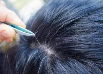 Lifestyle Tips: পকা চুলি (White Hair) উভালি পেলালে আৰু বেছি পকে; এই কথা আমি সকলোৱে শুনিছো, কিন্তু এয়া সঁচানে?…আহক জানো