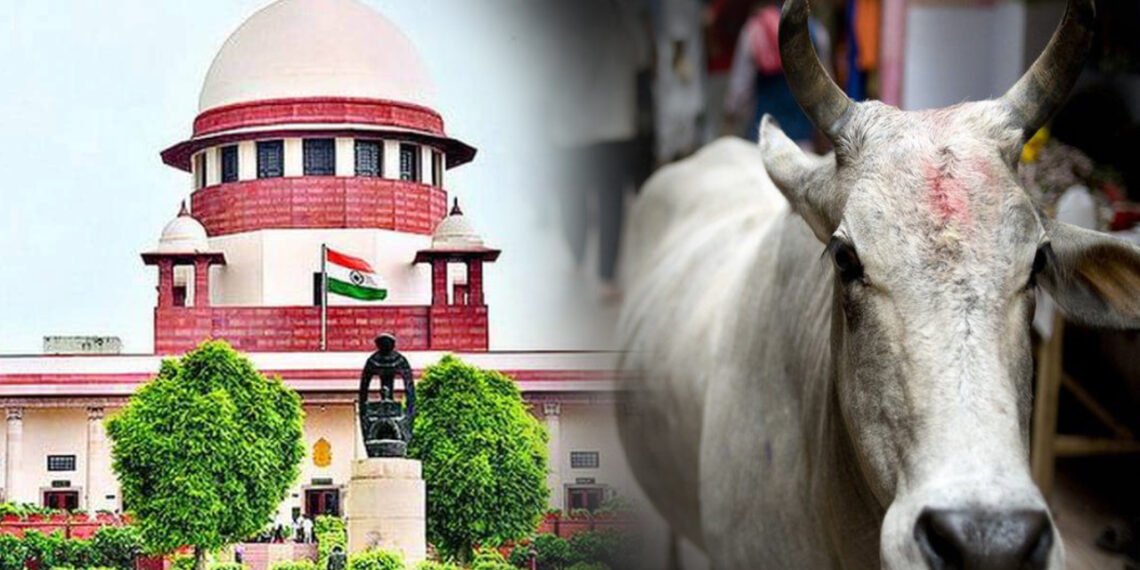 ‘এইটো সিদ্ধান্ত লোৱা আদালতৰ কাম নেকি?’- গৰুক ৰাষ্ট্ৰীয় পশু (National Animal) হিচাপে ঘোষণা কৰাৰ আবেদন খাৰিজ উচ্চতম ন্যায়ালয়ৰ, লগতে ধমক আবেদনকাৰীক