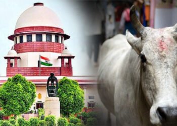 ‘এইটো সিদ্ধান্ত লোৱা আদালতৰ কাম নেকি?’- গৰুক ৰাষ্ট্ৰীয় পশু (National Animal) হিচাপে ঘোষণা কৰাৰ আবেদন খাৰিজ উচ্চতম ন্যায়ালয়ৰ, লগতে ধমক আবেদনকাৰীক