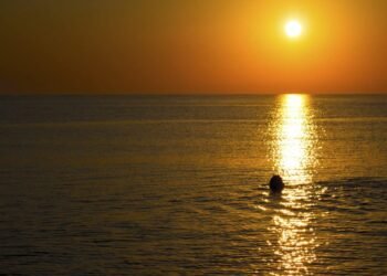 জানি থওক! ধ্বংসৰ কাৰণ হৈ পৰে সূৰ্যাস্তৰ (Sunset) পিছত কৰা এইবোৰ কাম; ঘৰৰ পৰা নোহোৱা হয় সুখ-শান্তি, অসন্তুষ্ট হৈ গুচি যায় ধনৰ দেৱী মা লক্ষ্মী, পিছে জানো আহক কি কি কাম?