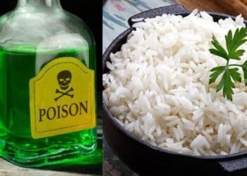 নৃশংস! ভাতত বিহ (Poison) মিহলাই স্বামীক হত্যা কৰিলে পত্নীয়ে; এই ঘটনা অসমৰে, জানিবলৈ পৰা হোৱা নাই হত্যাৰ কাৰণ!
