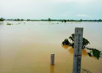 লখিমপুৰত পুনৰ বানৰ আশংকা।