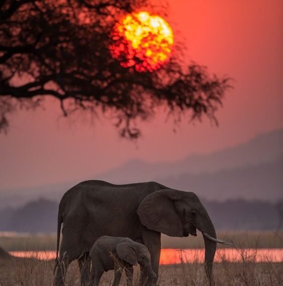 প্ৰকৃতিৰ মনোমোহা সৌন্দৰ্য্য