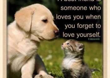 ভাল বন্ধু কোন হয়  !!!!