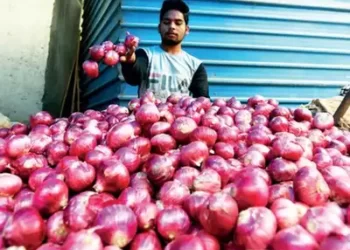 মহানগৰীৰ ১২  স্থানত সুলভ মূল্যত পিয়াজ বিক্ৰী জিলা প্ৰশাসনৰ !