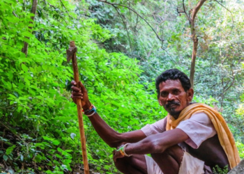 মনোৰম প্ৰকৃতিৰ মাধুৰ্যৰ আকৰ পাতালকোট …