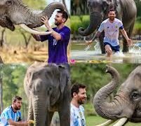 বনতাৰাত লিঅ’নেল মেছিৰ বন্যপ্ৰাণী দৰ্শনৰ অবিস্মৰণীয় অভিজ্ঞতা …